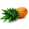 Piña
